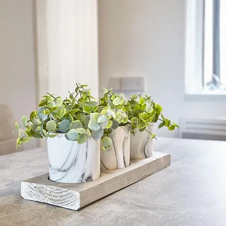 Hotel Pretty House In The North Yorkshire Moors 3*